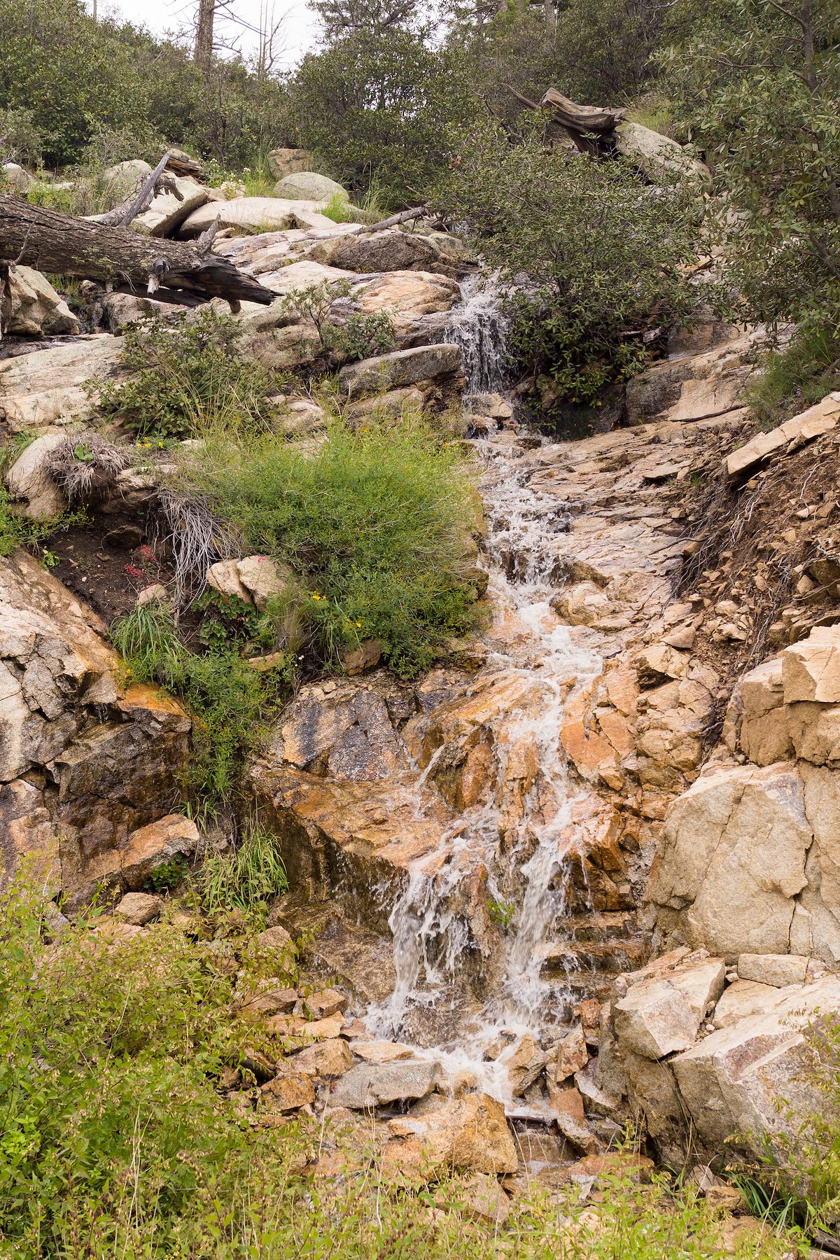 2014 September Flowing Water in the Ridgeline Drainage