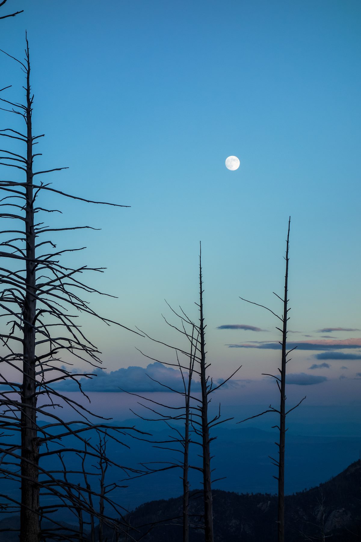 2014 September Moon and Trees from the Aspen Trail