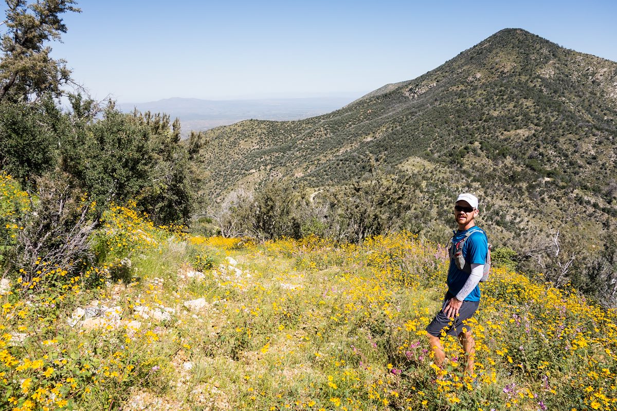 2014 September Oracle Ridge Trail two track covered in Flowers