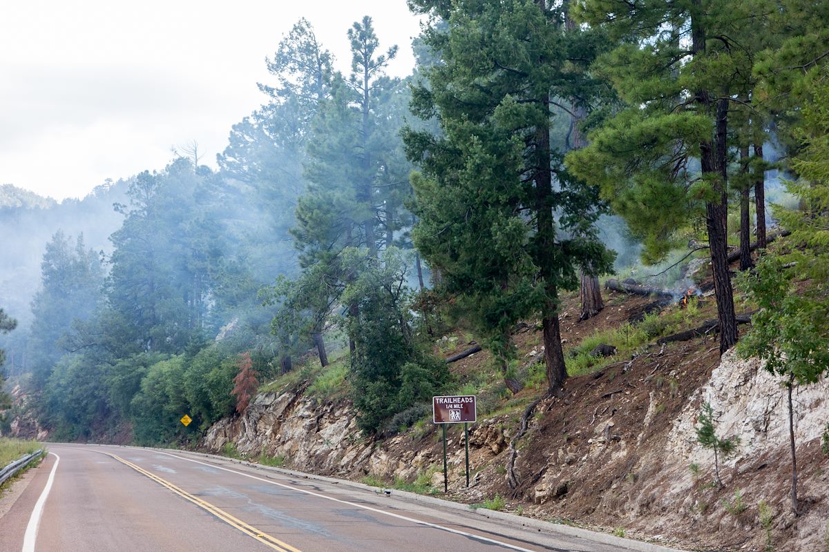 2014 September Prescribed Burn along the Highway