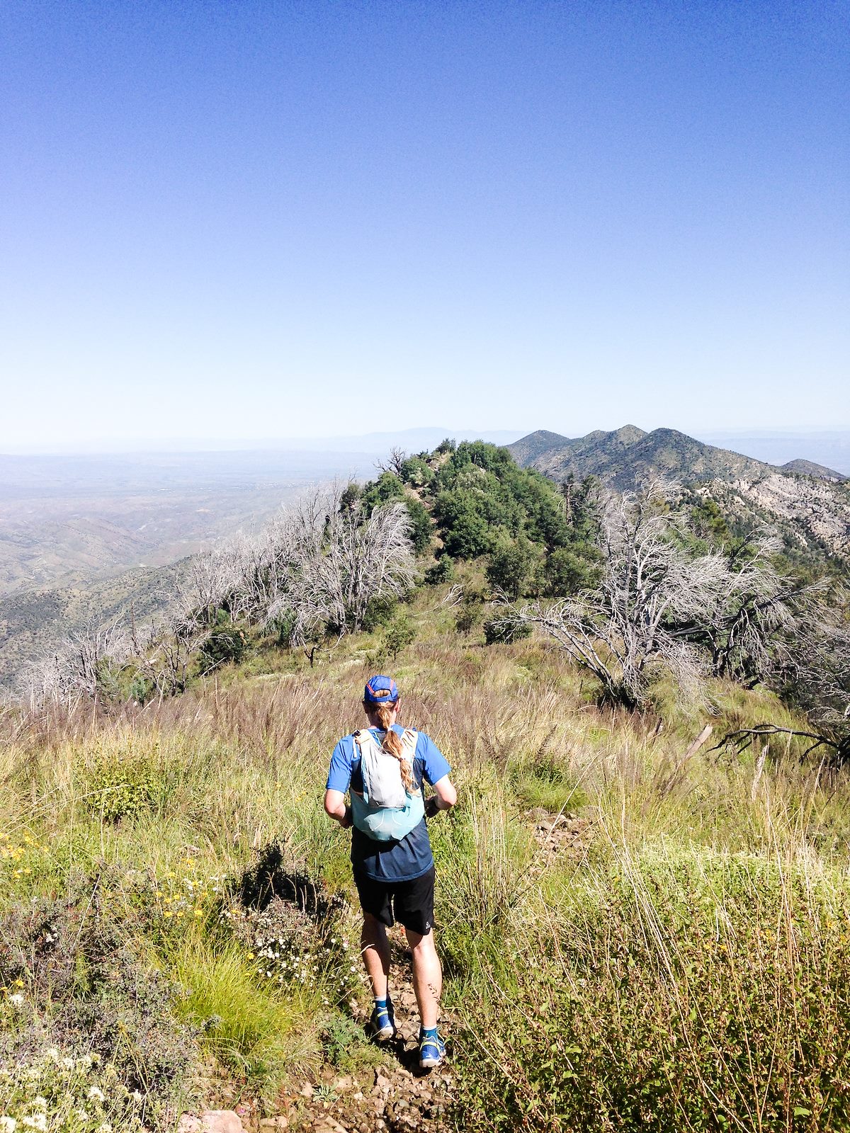 2014 September Running Down the Oracle Ridge Trail