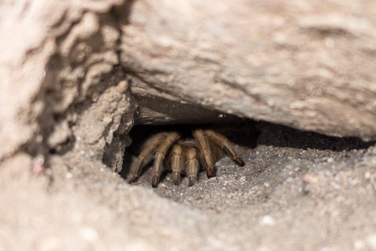 2014 September Waiting