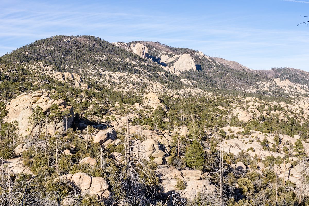 2015 February Mount Lemmon from the Mount Lemmon Trail