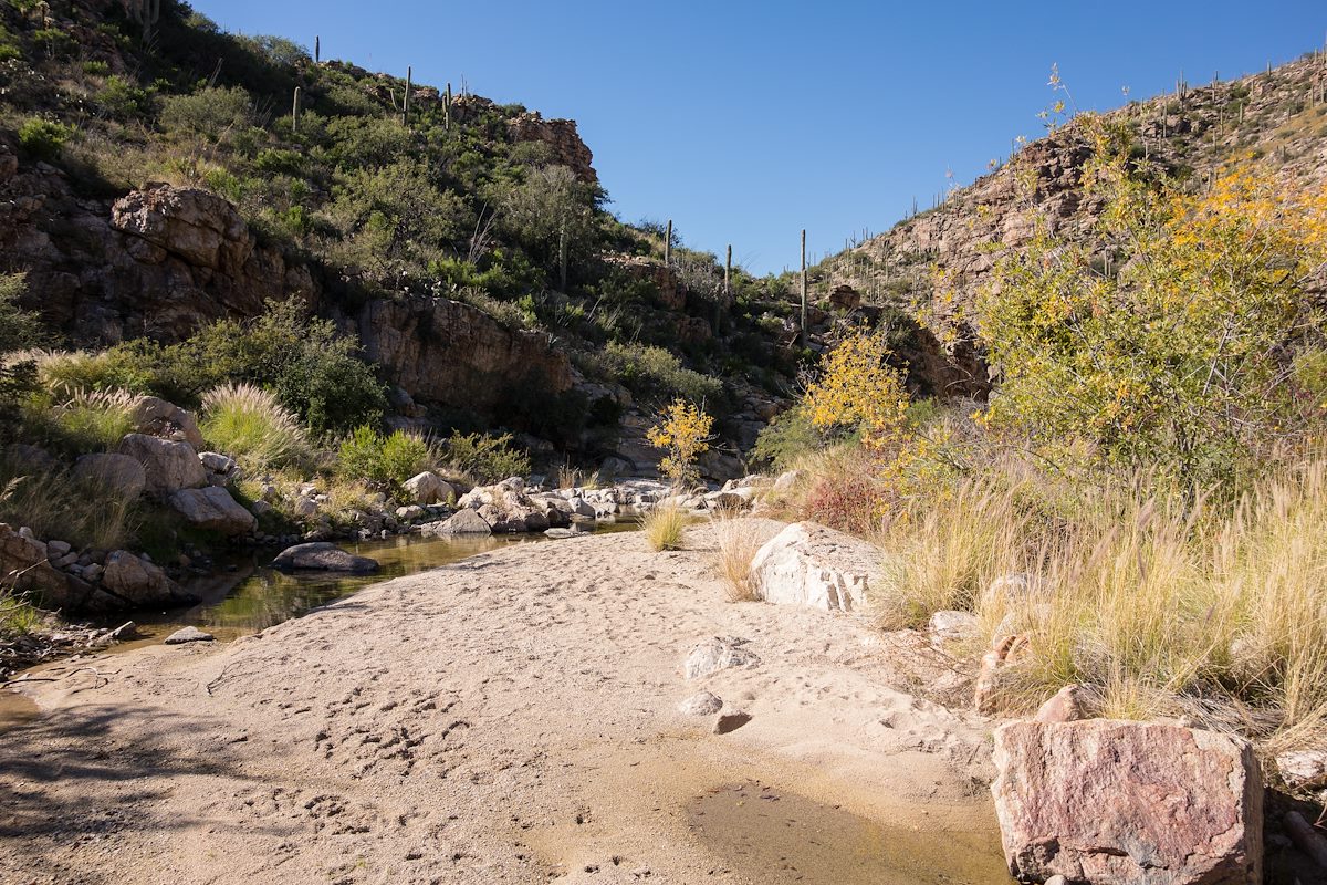 1511-Agua-Caliente-Canyon