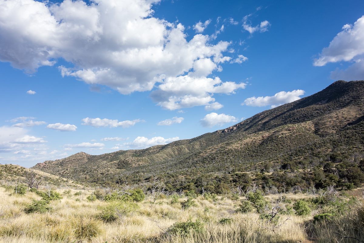 2015 April Grass and Hills from the Oracle Ridge Trail