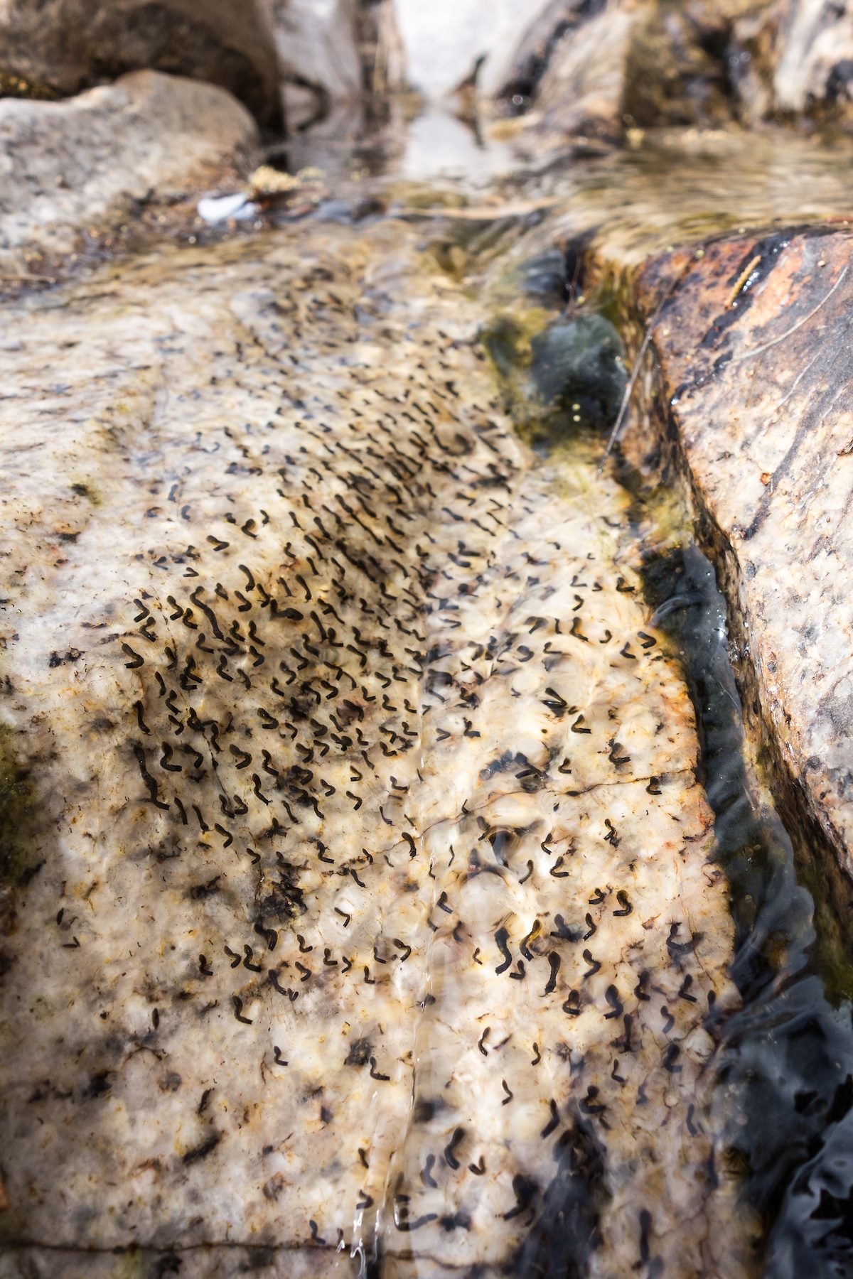 2015 April Hanging On