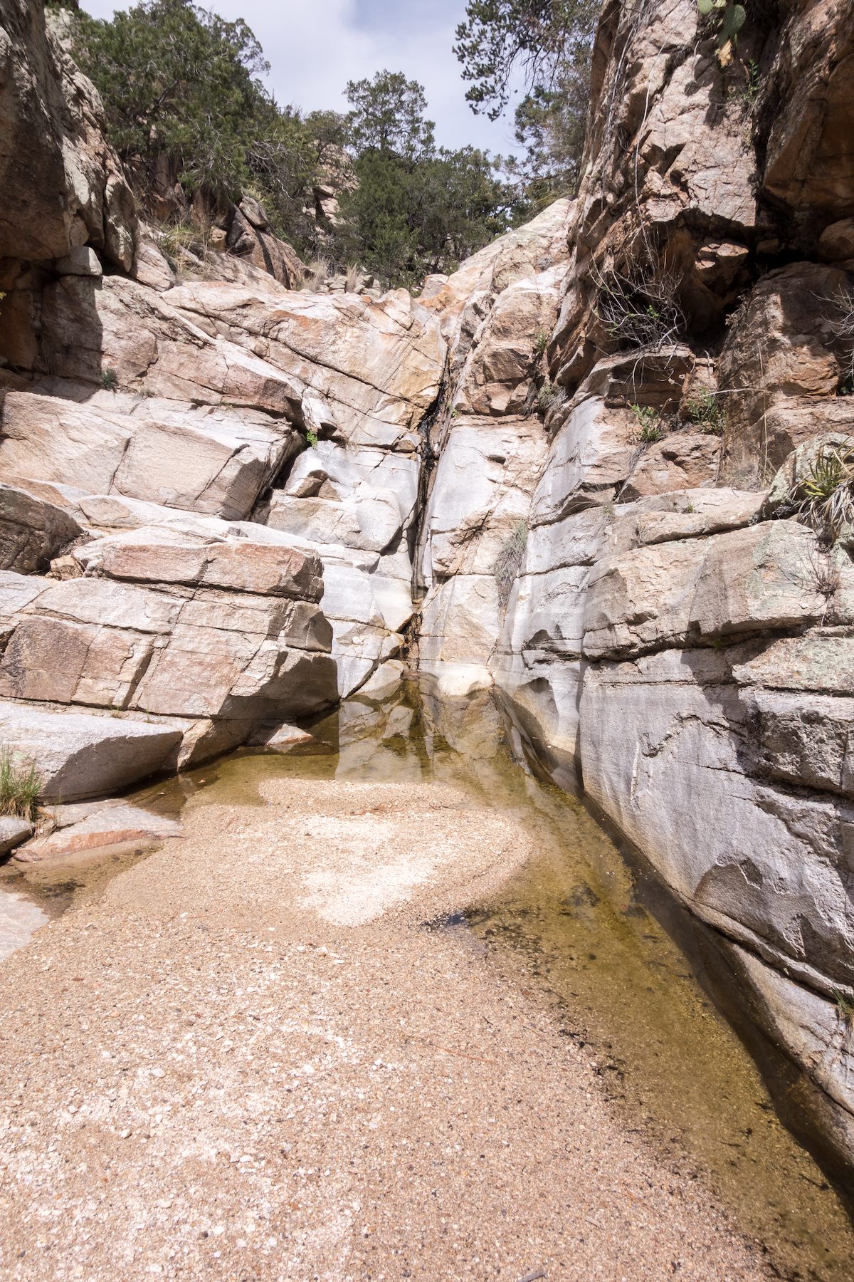 2015 April In the West Fork of Molino