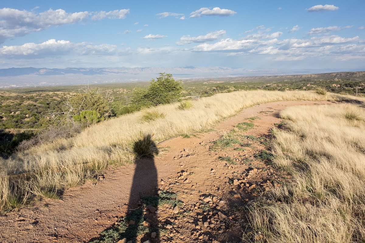 2015 April Late in the day on the Cody Trail