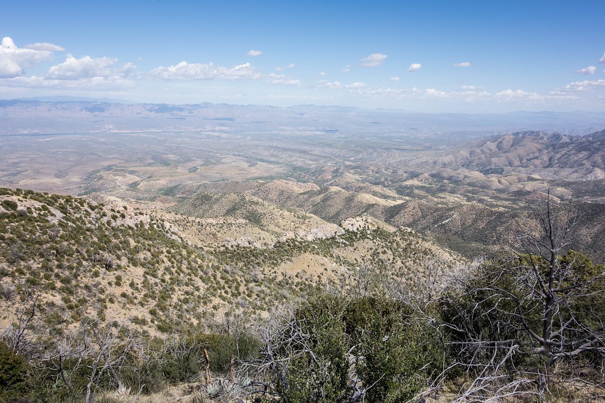 2015 April Looking down on the San Pedro
