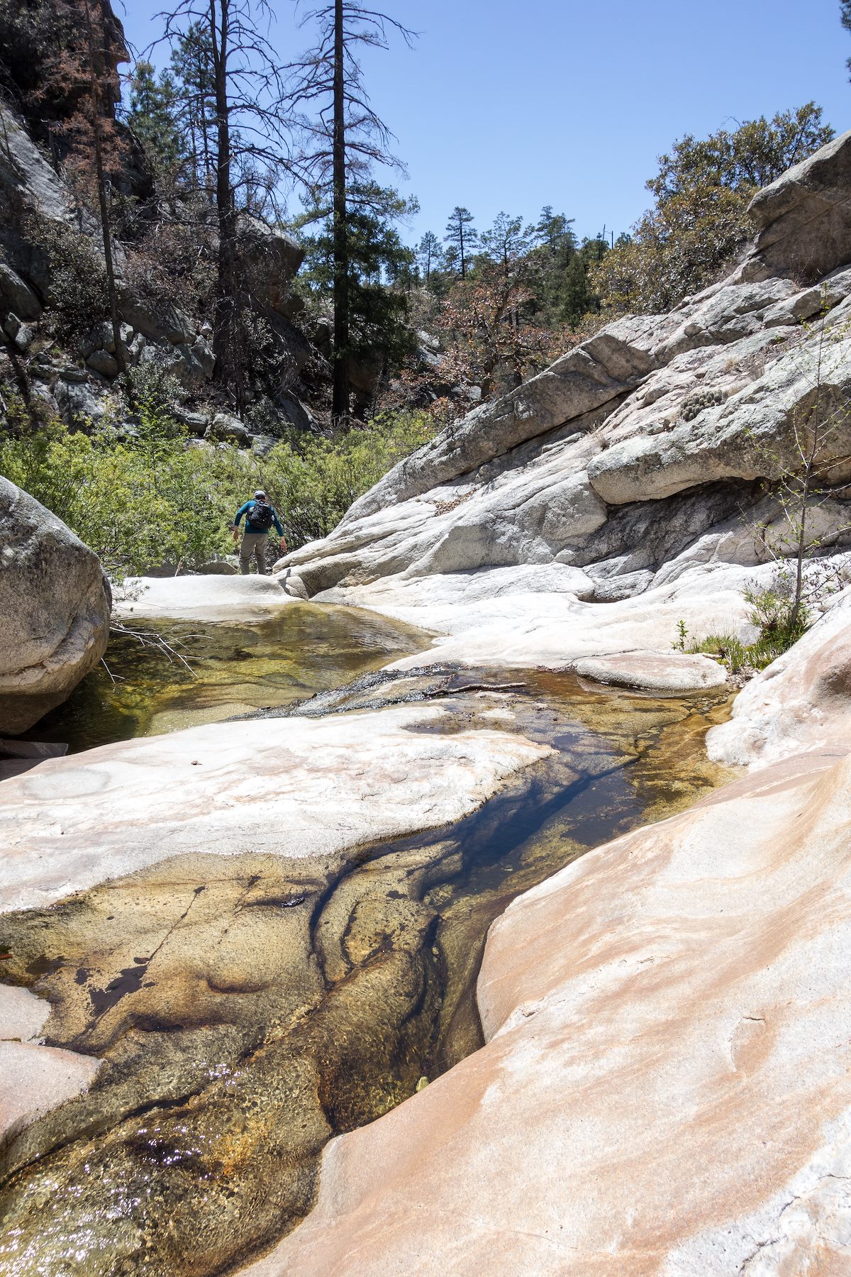 2015 April Working down Sabino Canyon