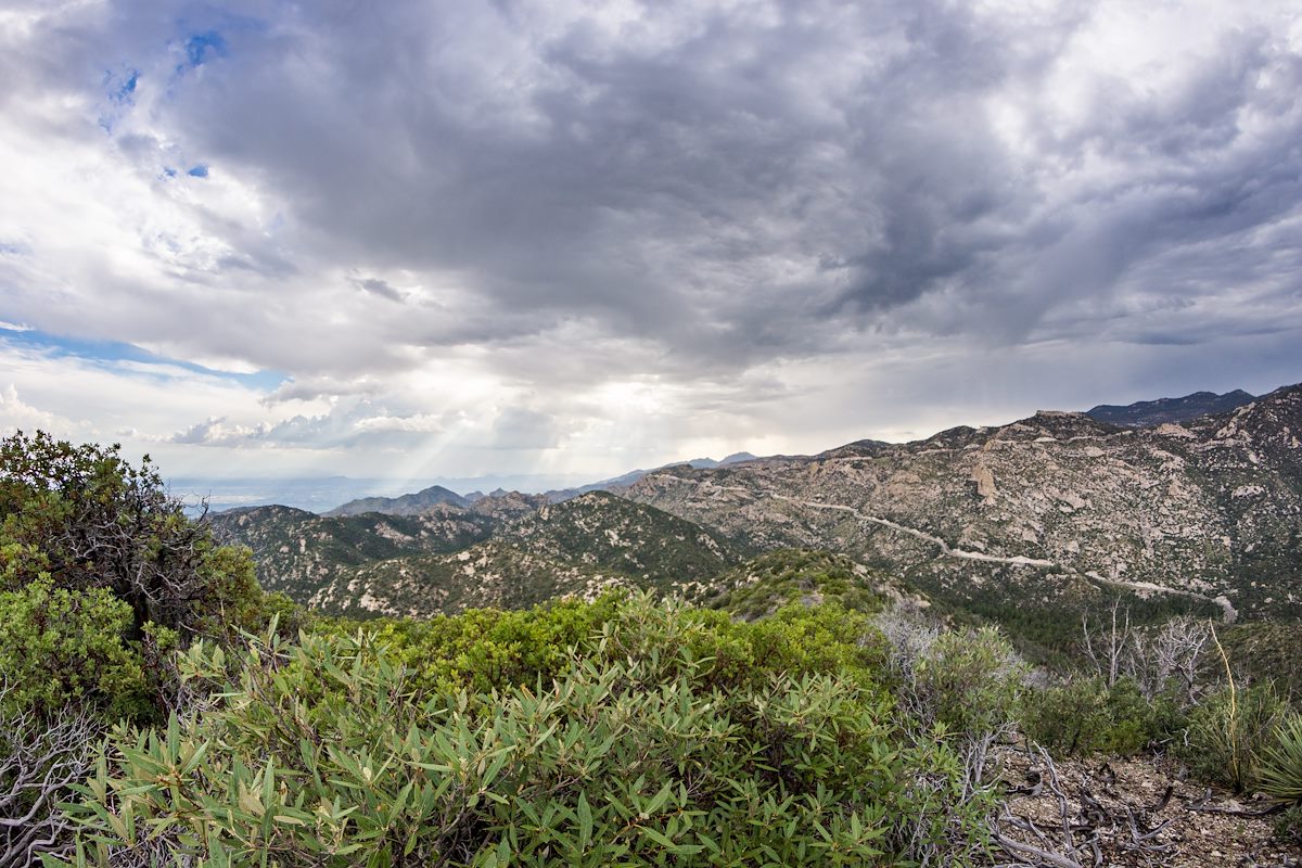 2015 August Looking Across Bear Canyon from Point 6810