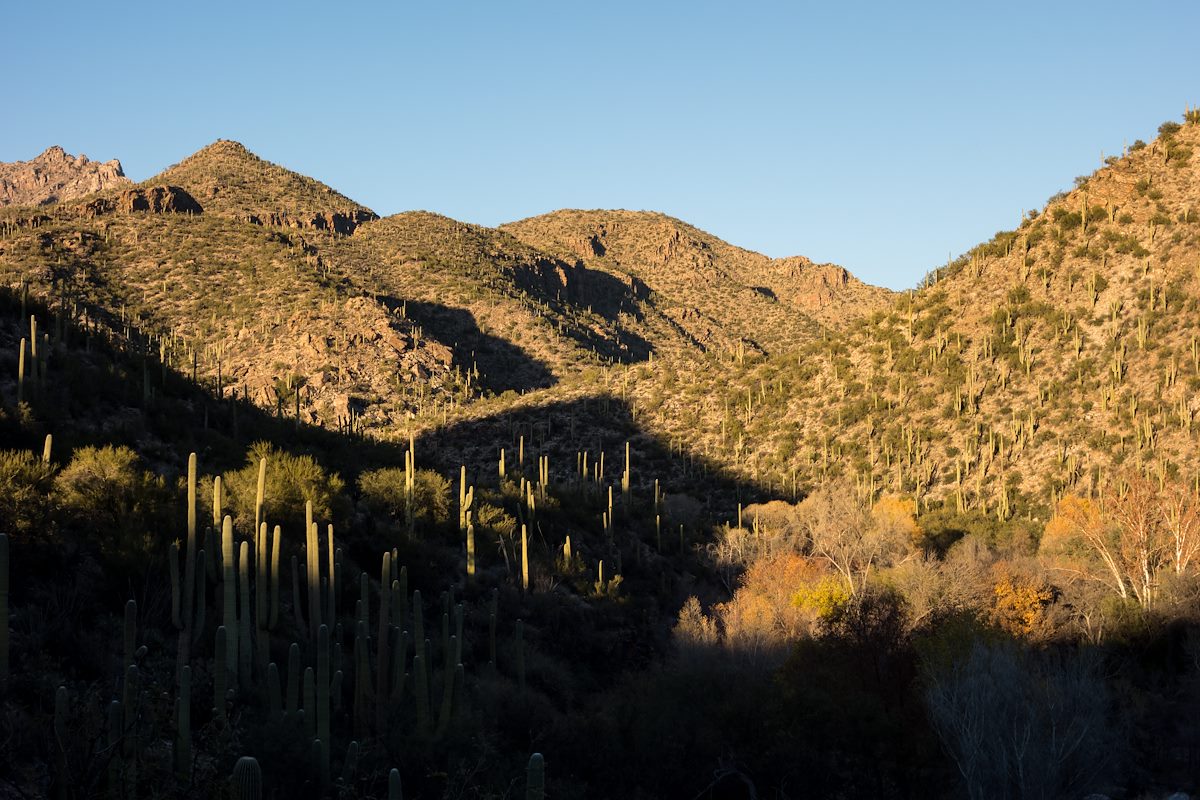 2015 December From the Bluff Trail in Sabino Canyon