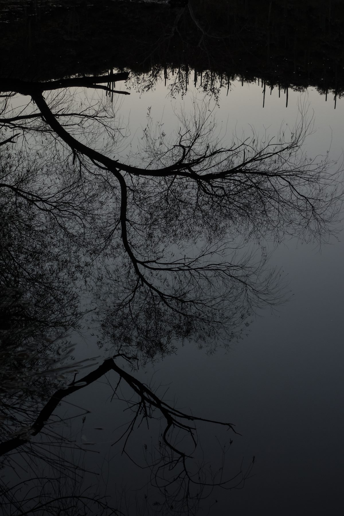 2015 December Reflection above the Dam 02