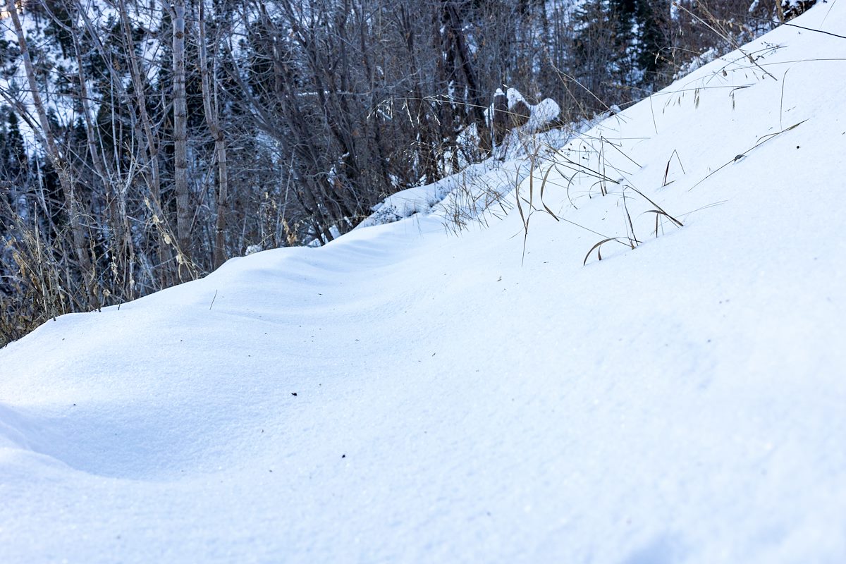 2015 December Snow on the Butterfly Trail