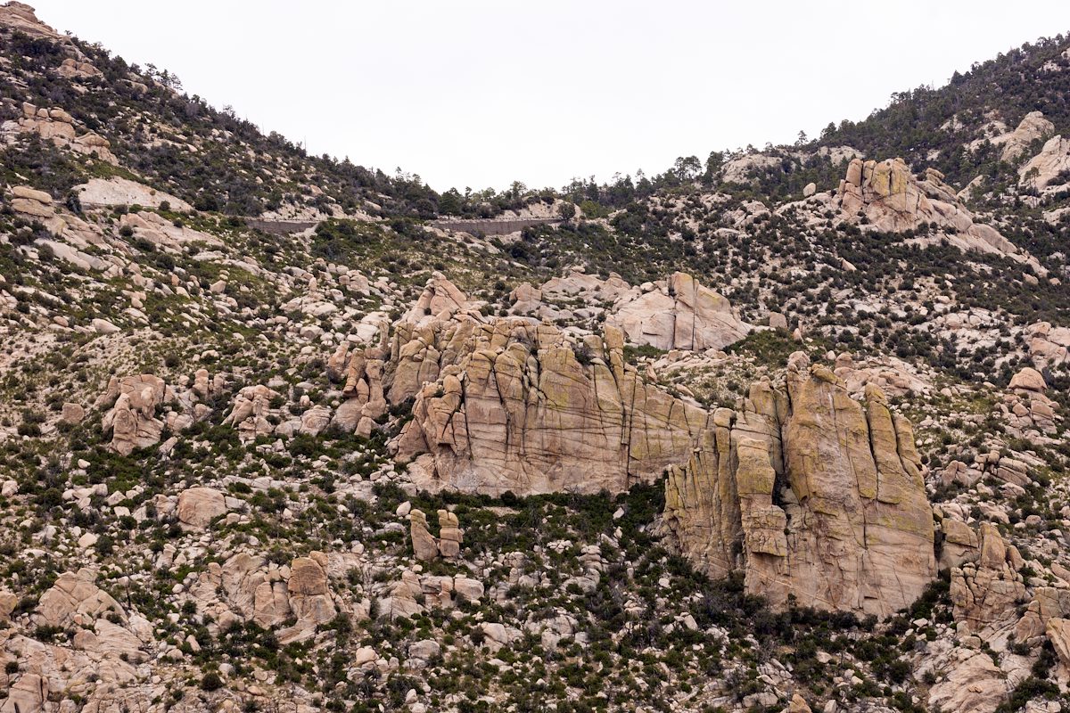 2015 December The Pharaoh and Ripple Wall