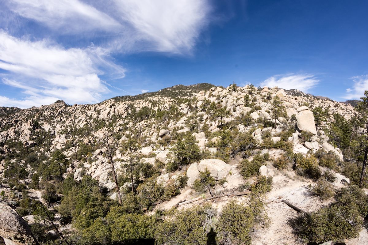 2015 February A Wilderness of Rock