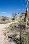 2015 February Agua Caliente Hill Trail and FR4445 Junction