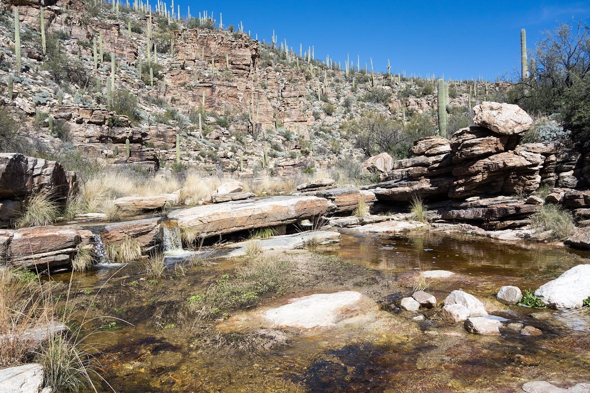 2015 February Crossing Milagrosa Canyon