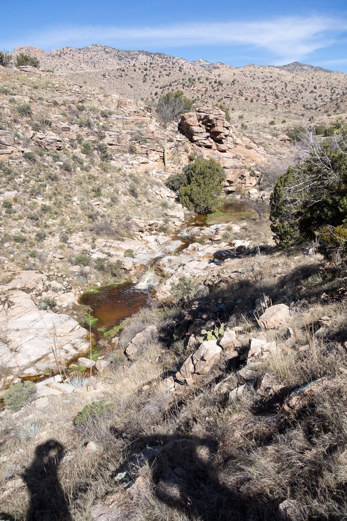 2015 February Milagrosa Canyon from the Milagrosa Trail