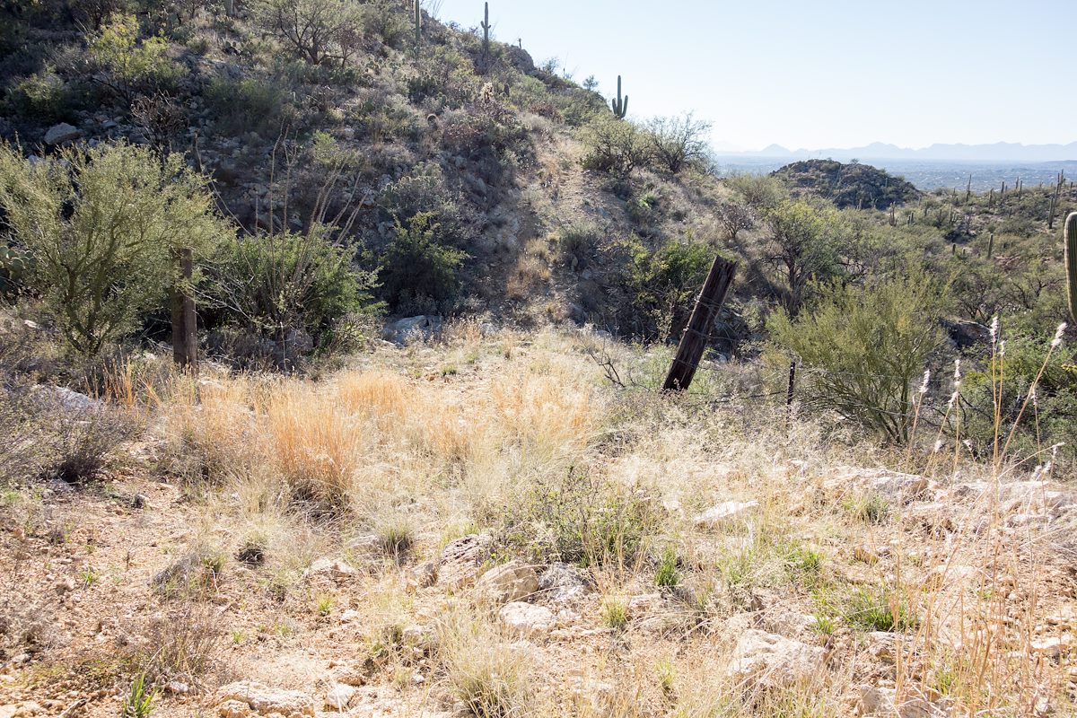 2015 February Old Boundary Line