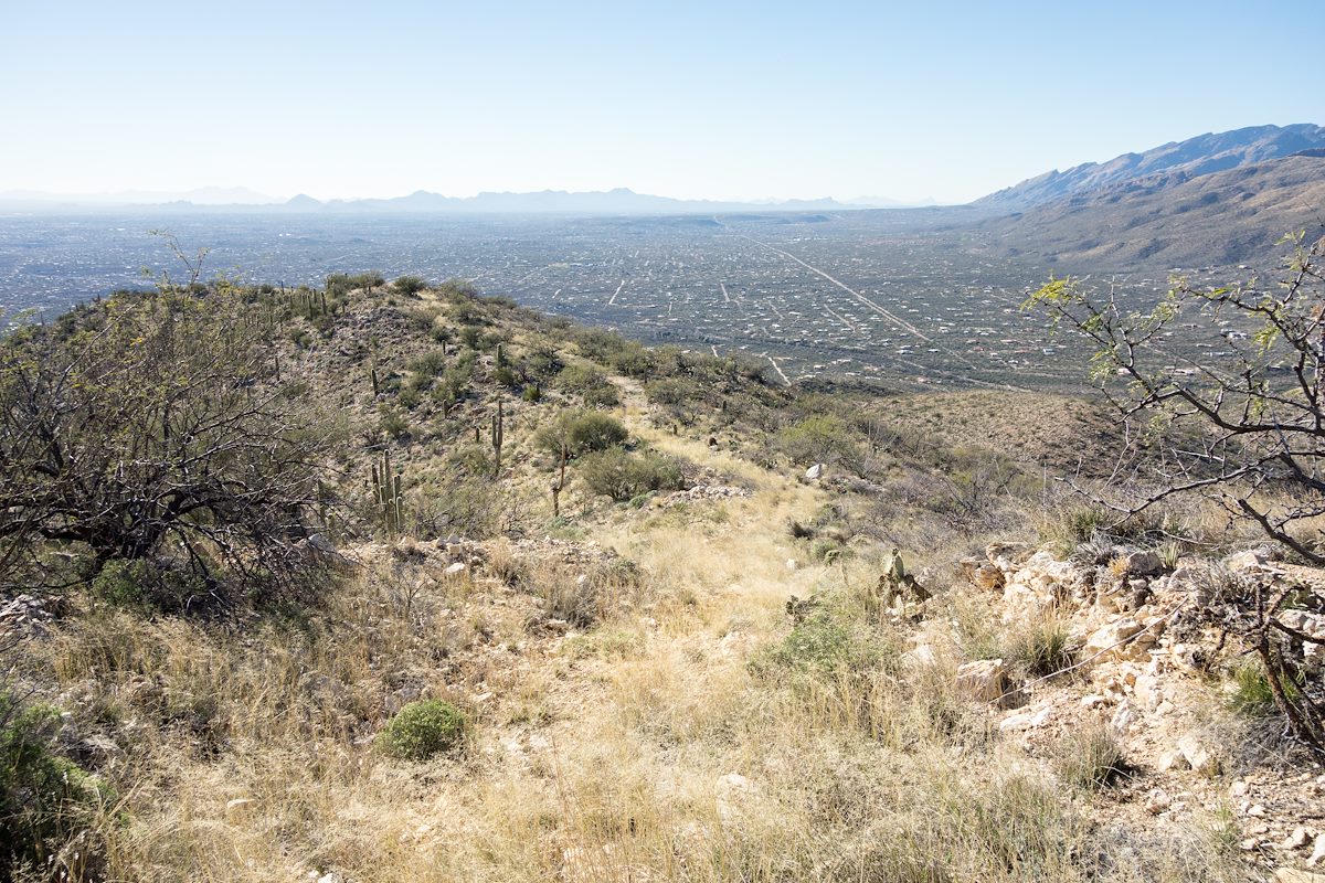 2015 February Old Road from Gnat Tank towards Roger Road