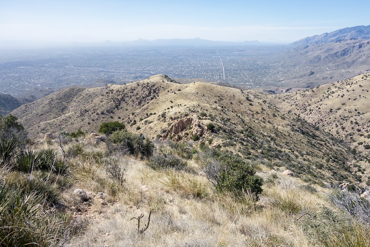 2015 February Ridge West of Agua Caliente Hill