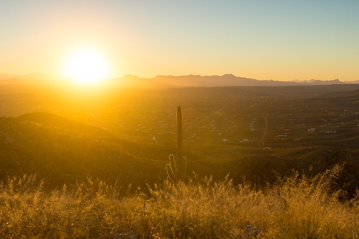 2015 February Sun on FR4446