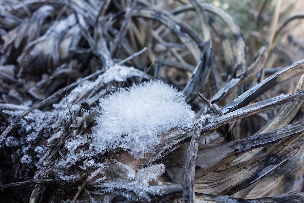 2015 January A bit of winter hiding on the slopes of Milagrosa Canyon