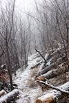2015 January A dusting of snow on the Knagge Trail