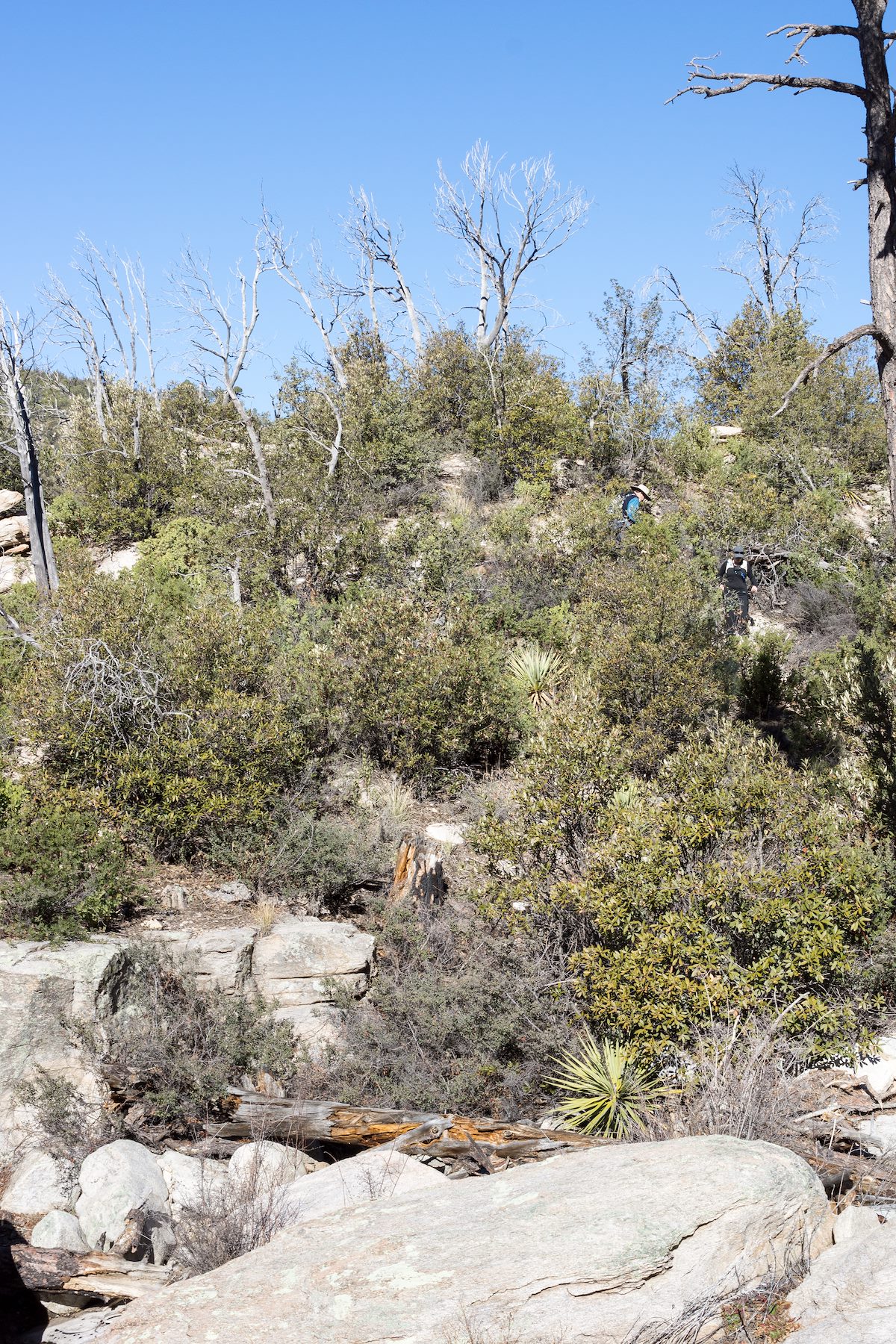 2015 January Alison and Bill leaving the Palisade Trail to visit Pine Canyon