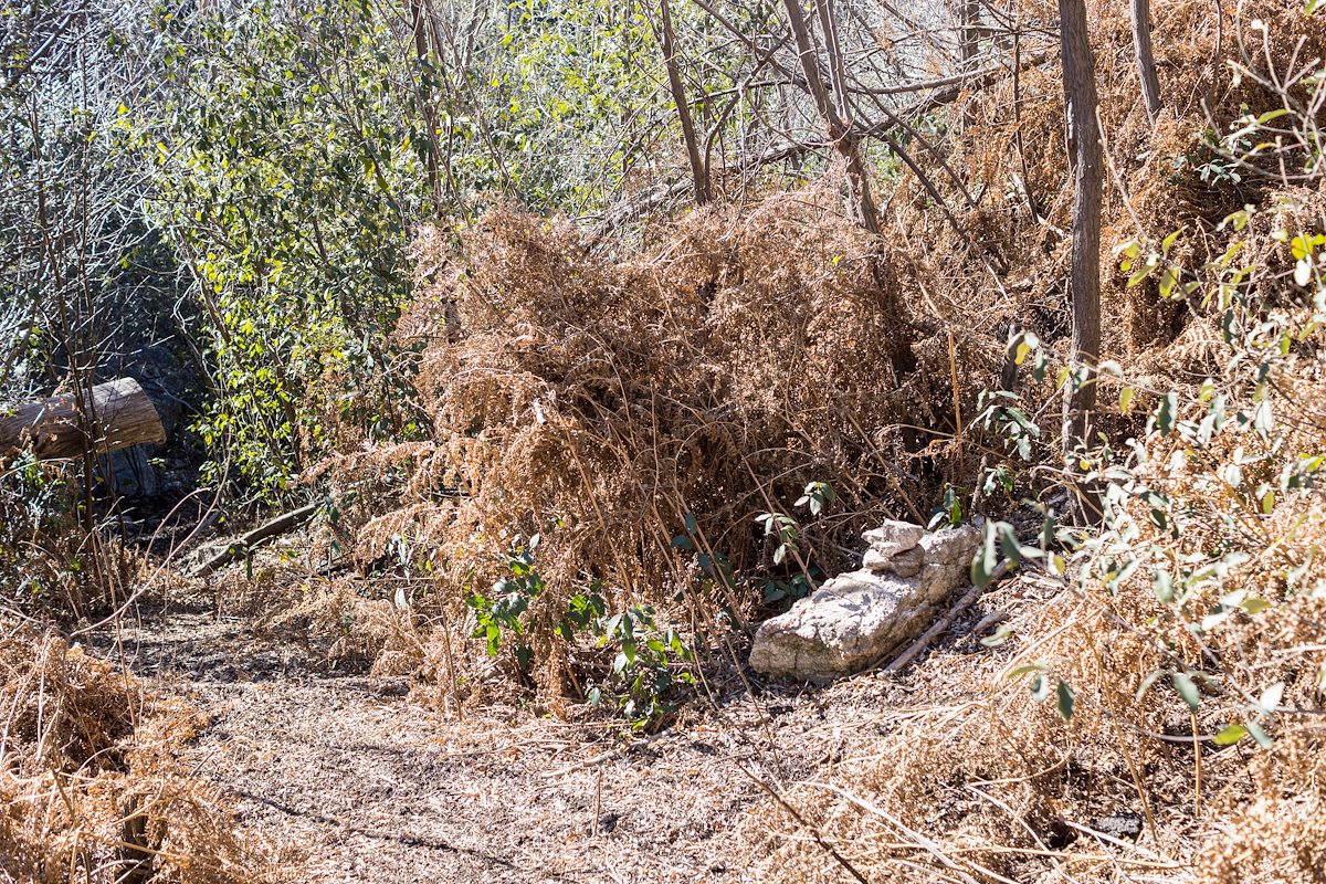 2015 January Cairn and brown ferns near Mud Spring