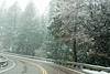 2015 January Driving Snow