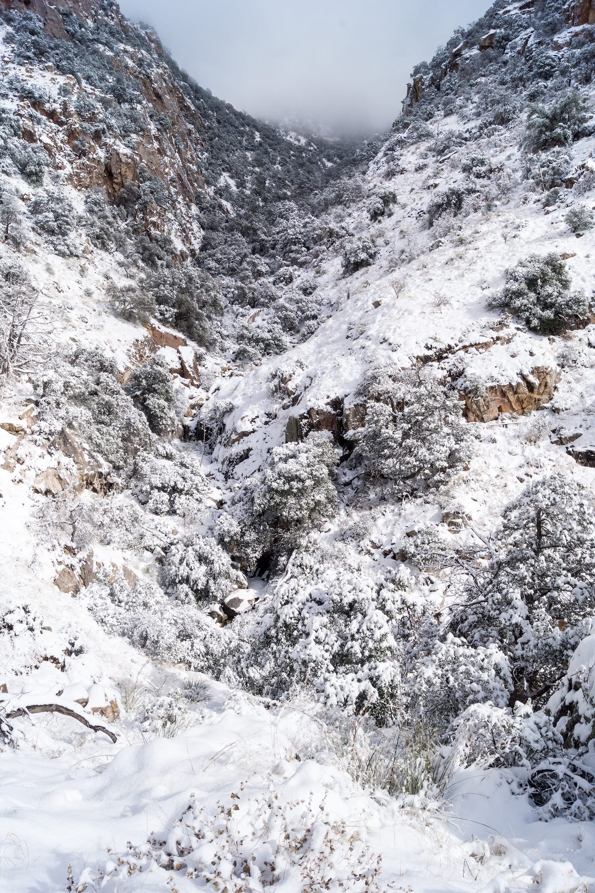2015 January Higher in Pima Canyon