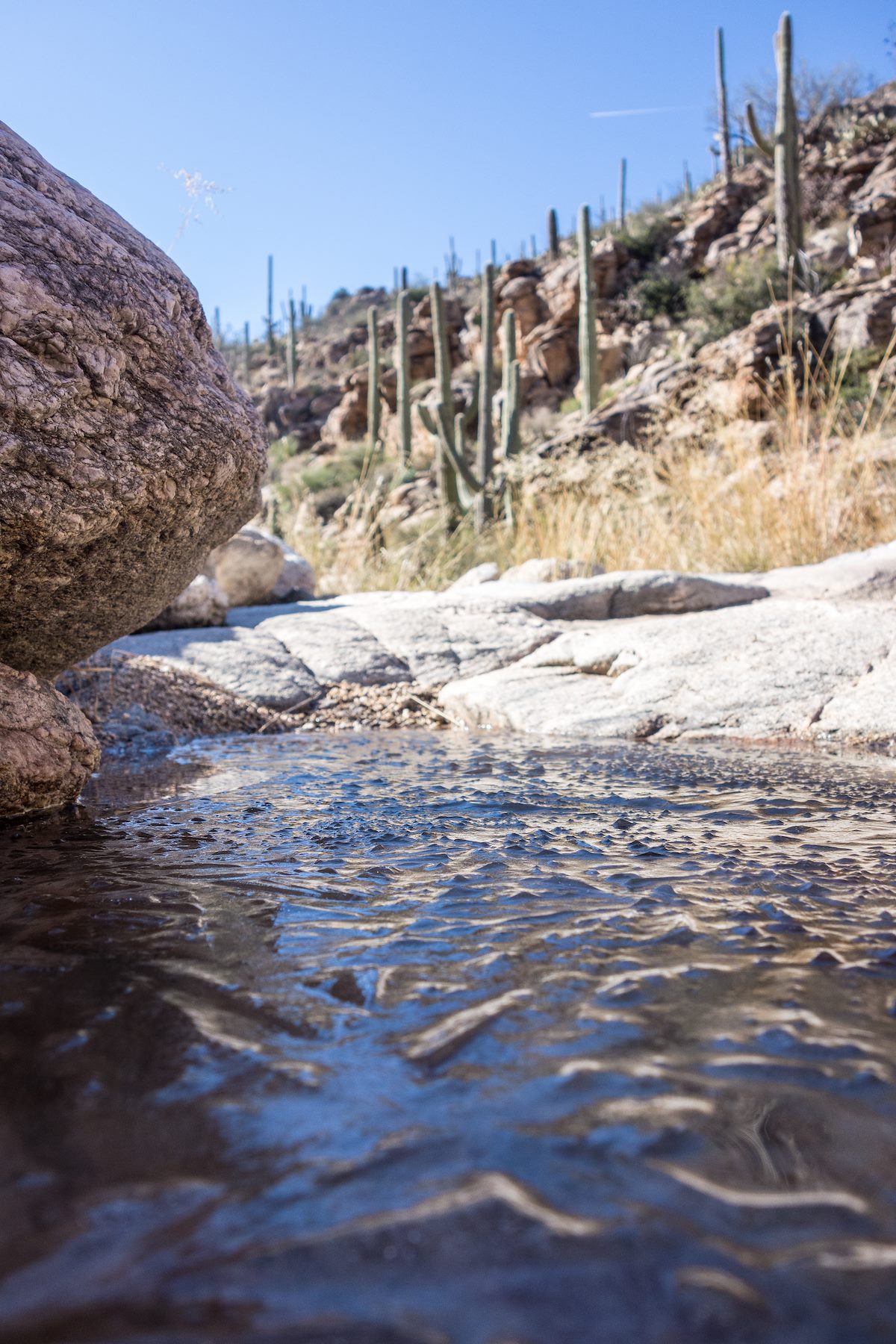 2015 January Ice in the shadows in a Milagrosa Side Canyon
