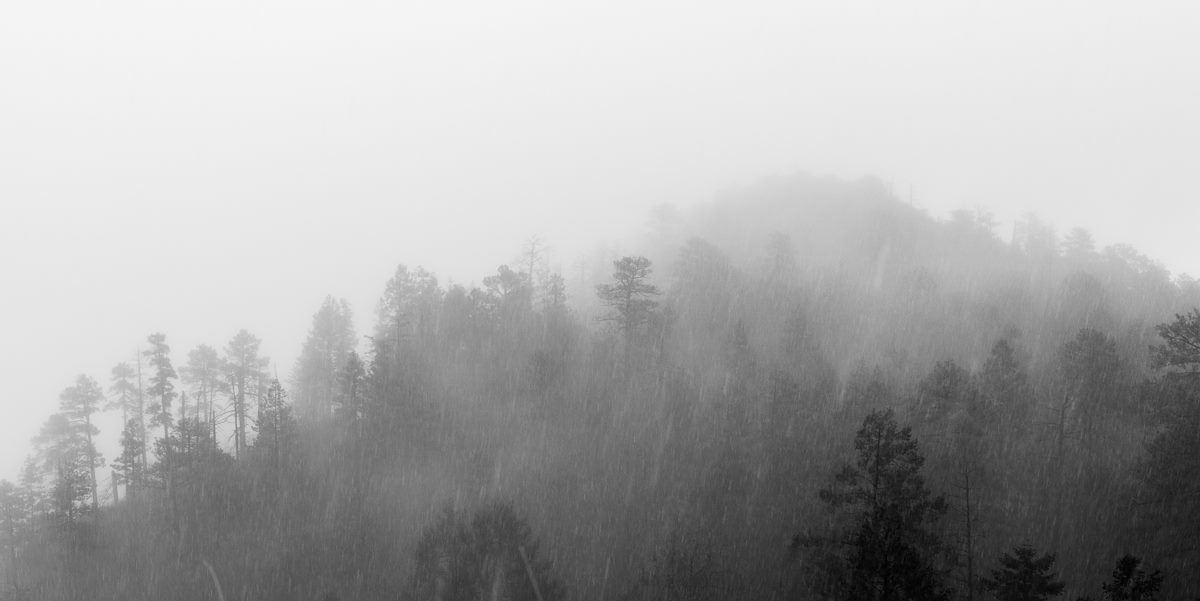 2015 January Into the Storm