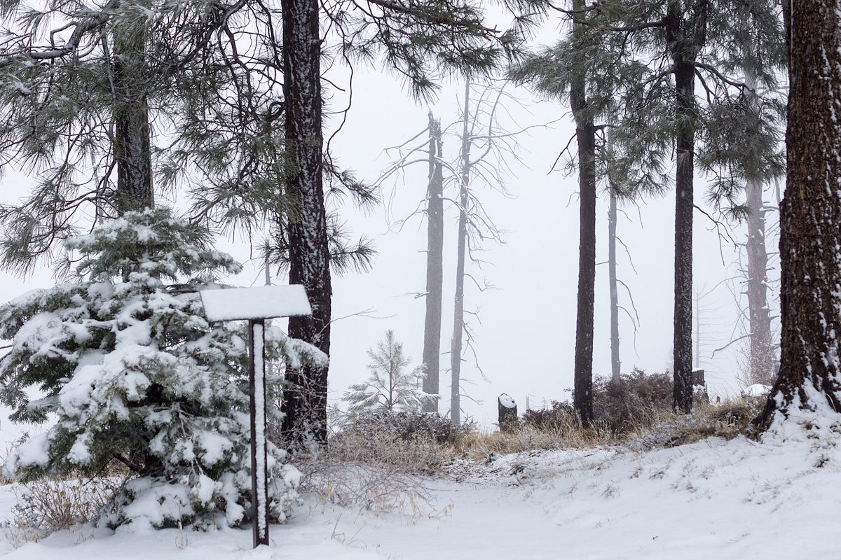 2015 January Junction of the Knagge and Kellogg Mountain Trails