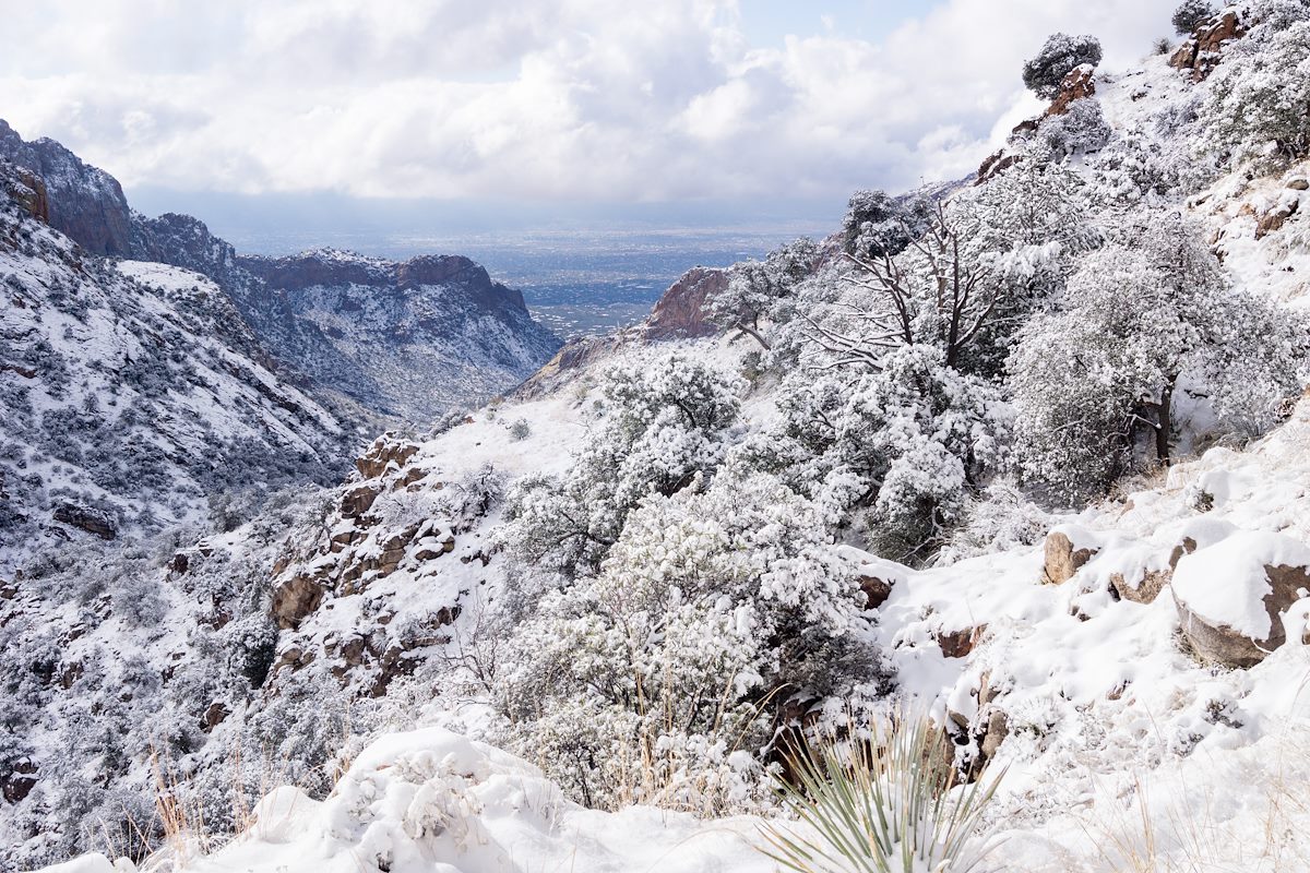 2015 January Looking down Pima Canyon to Tucson