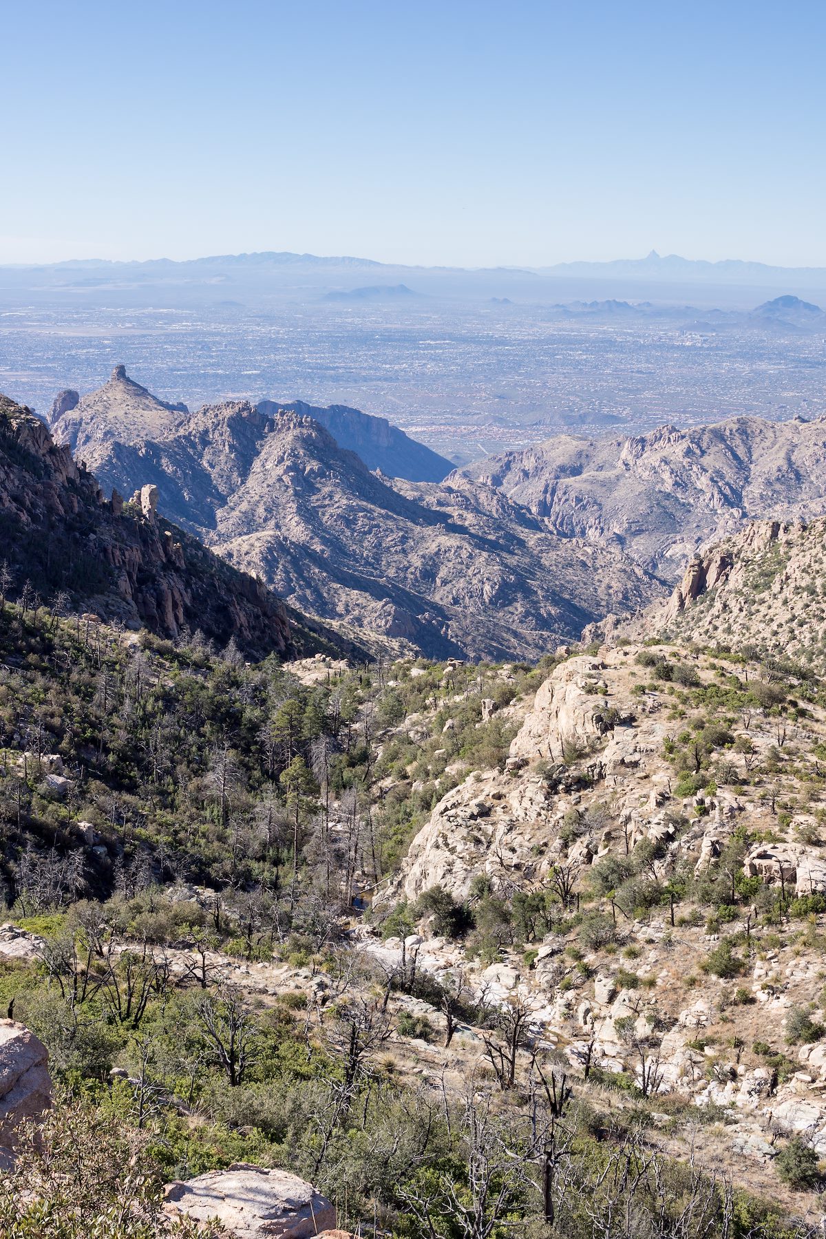 2015 January Looking Down Pine Canyon