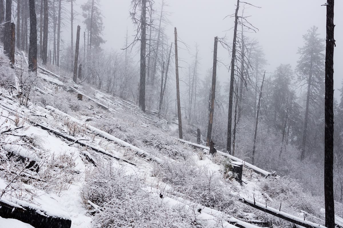 2015 January Old Fire New Snow