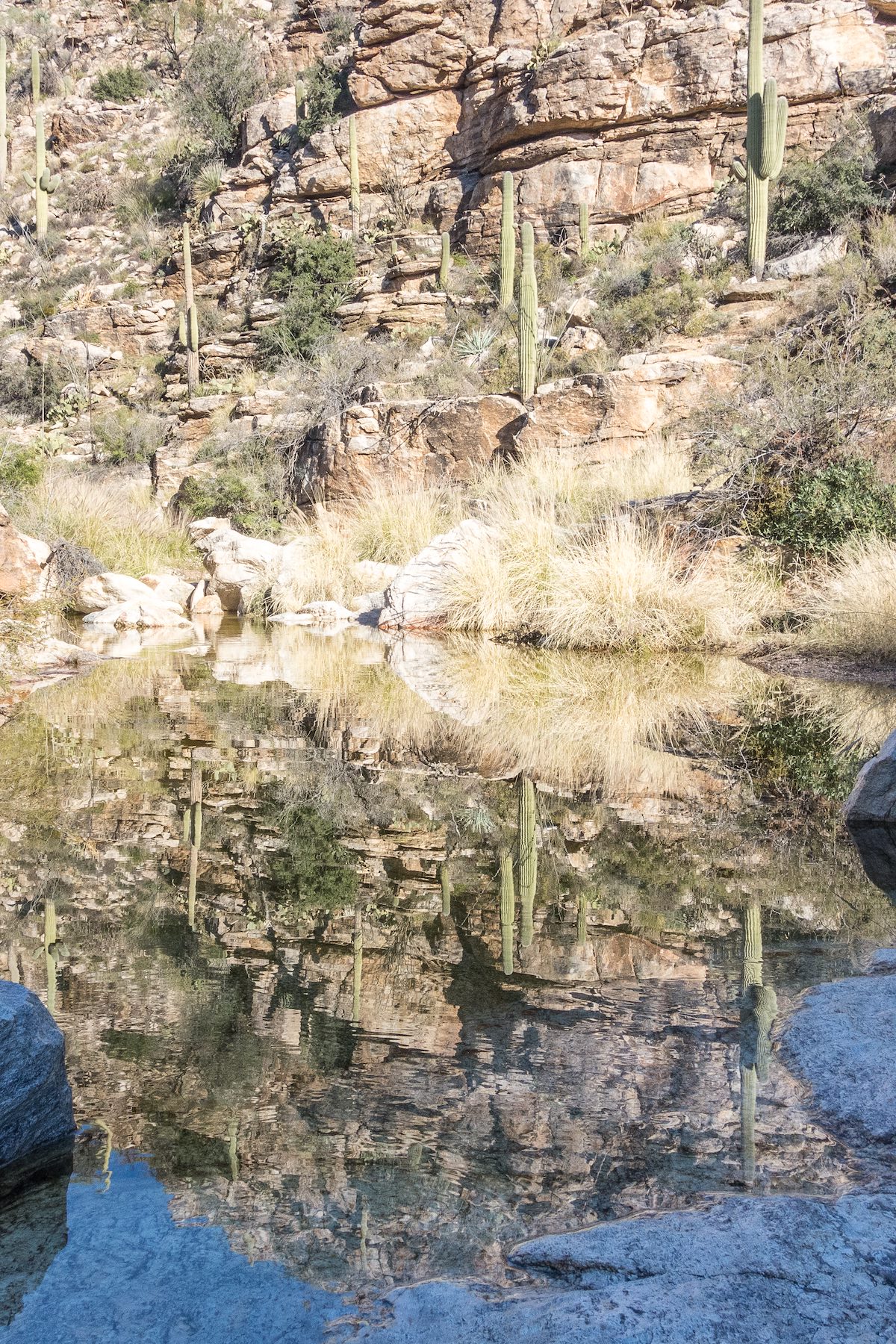 2015 January Reflection in Milagrosa Canyon