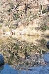 2015 January Reflection in Milagrosa Canyon