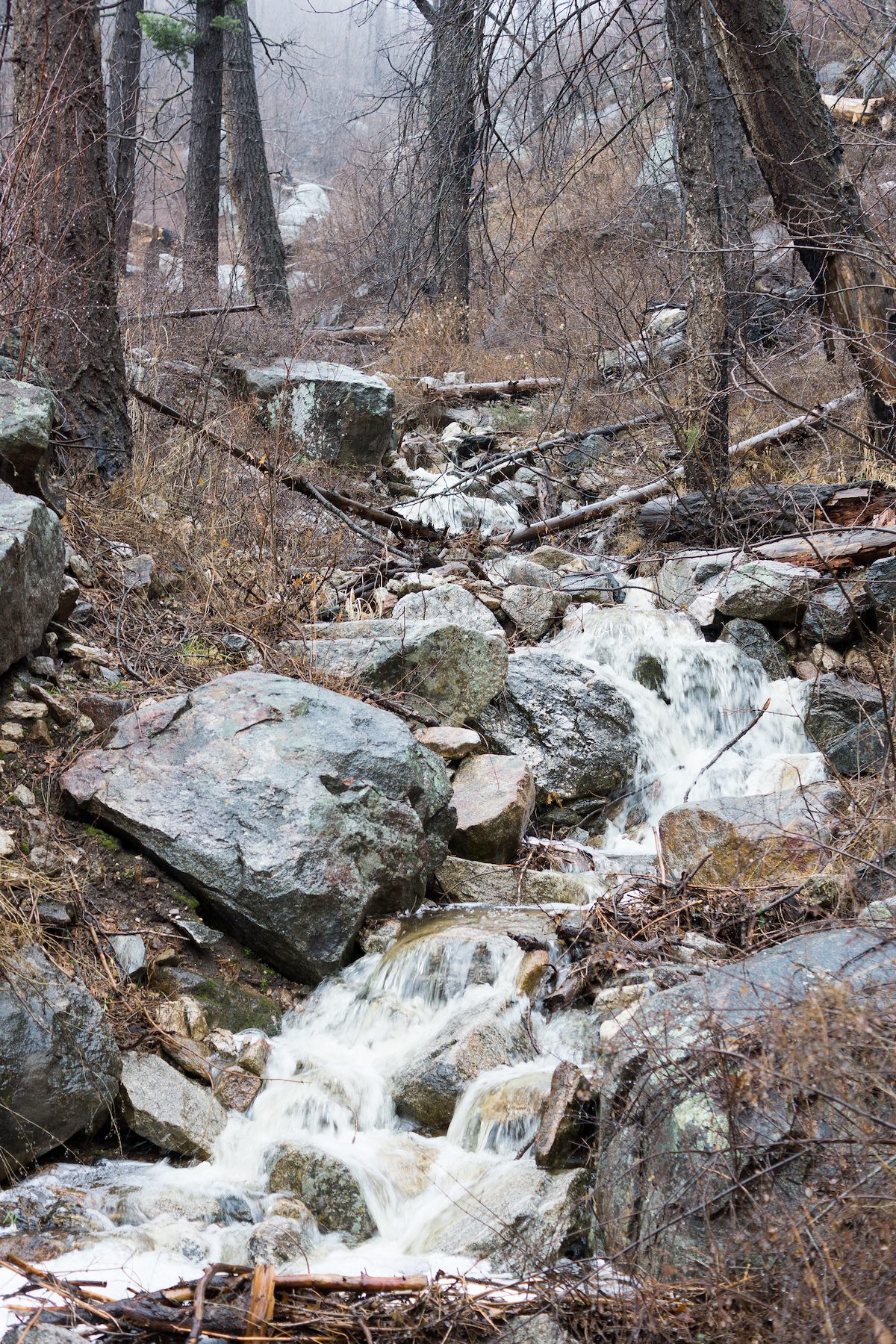 2015 January Rushing water in the drainage near the Knagge Cabin