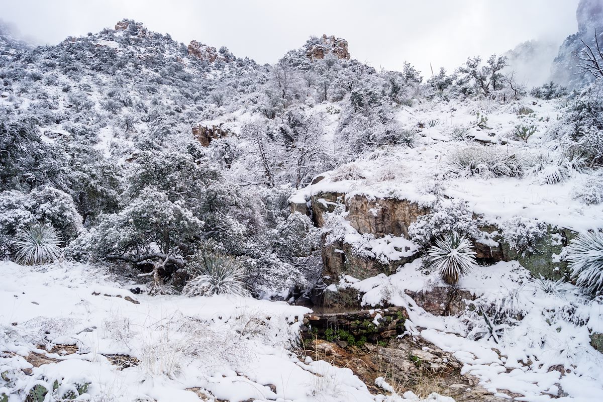 2015 January Snow around the Second Dam on the Pima Canyon Trail