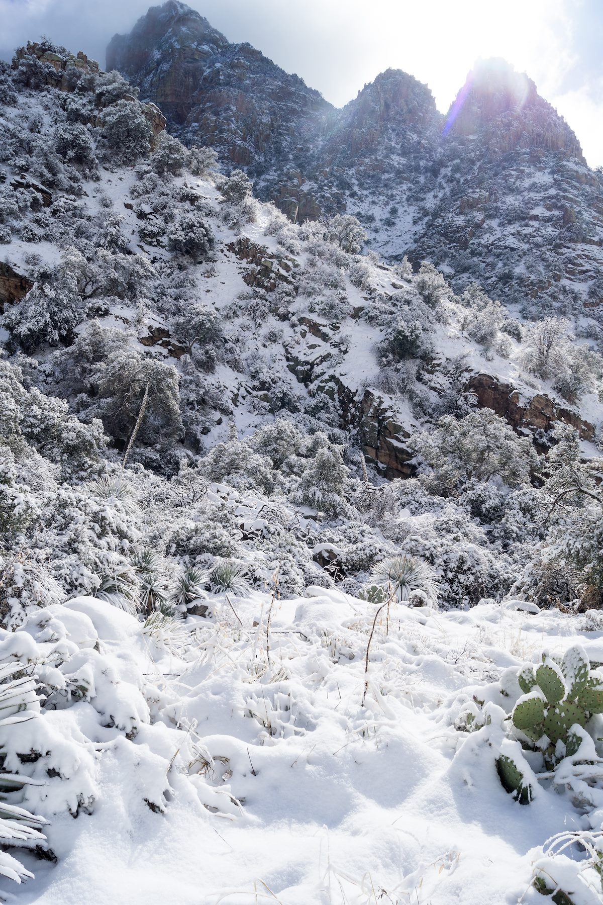 2015 January Sunshine in Pima Canyon