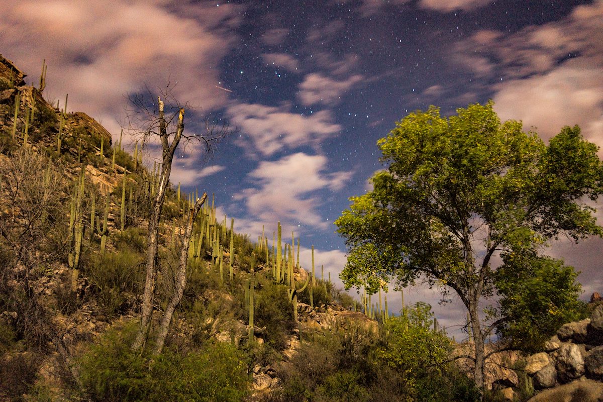 2015 July Looking up from Sabino Canyon