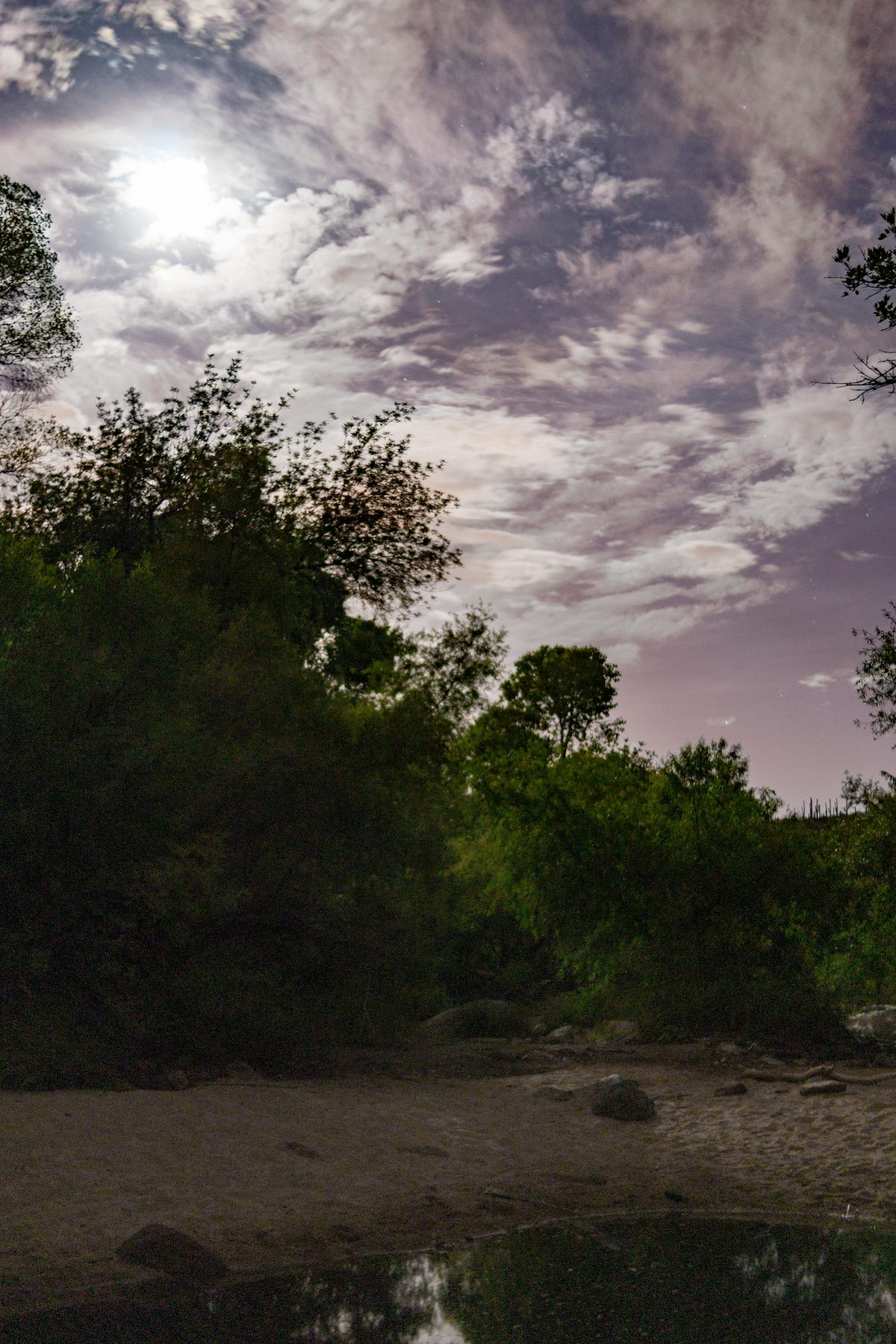 2015 July Moonlight in Sabino Canyon