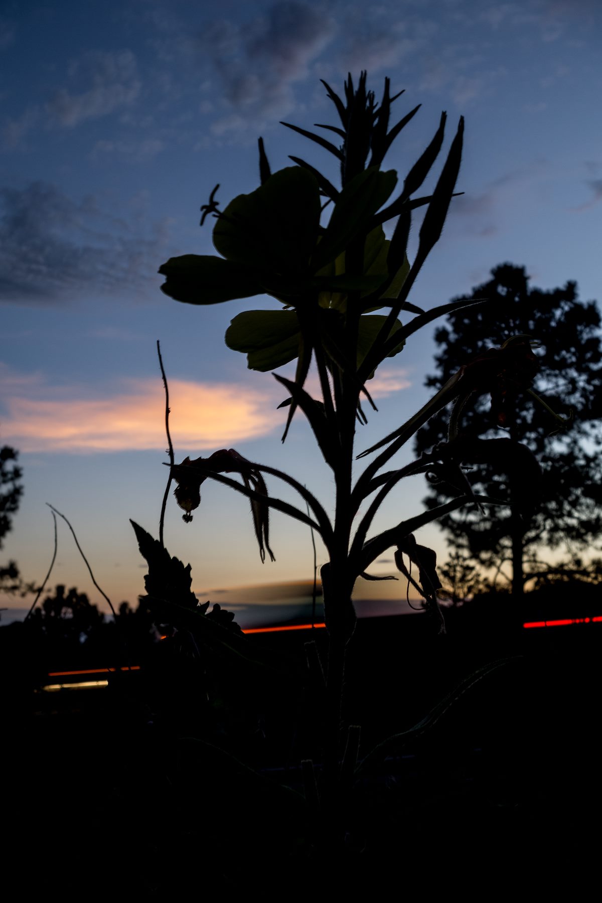 2015 July Promrose Highway