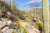 2015 March Among the Flowers on the Agua Caliente Canyon Trail