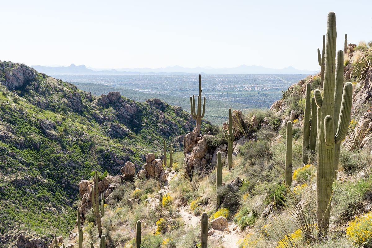 2015 March Looking down the Romero Canyon Trail