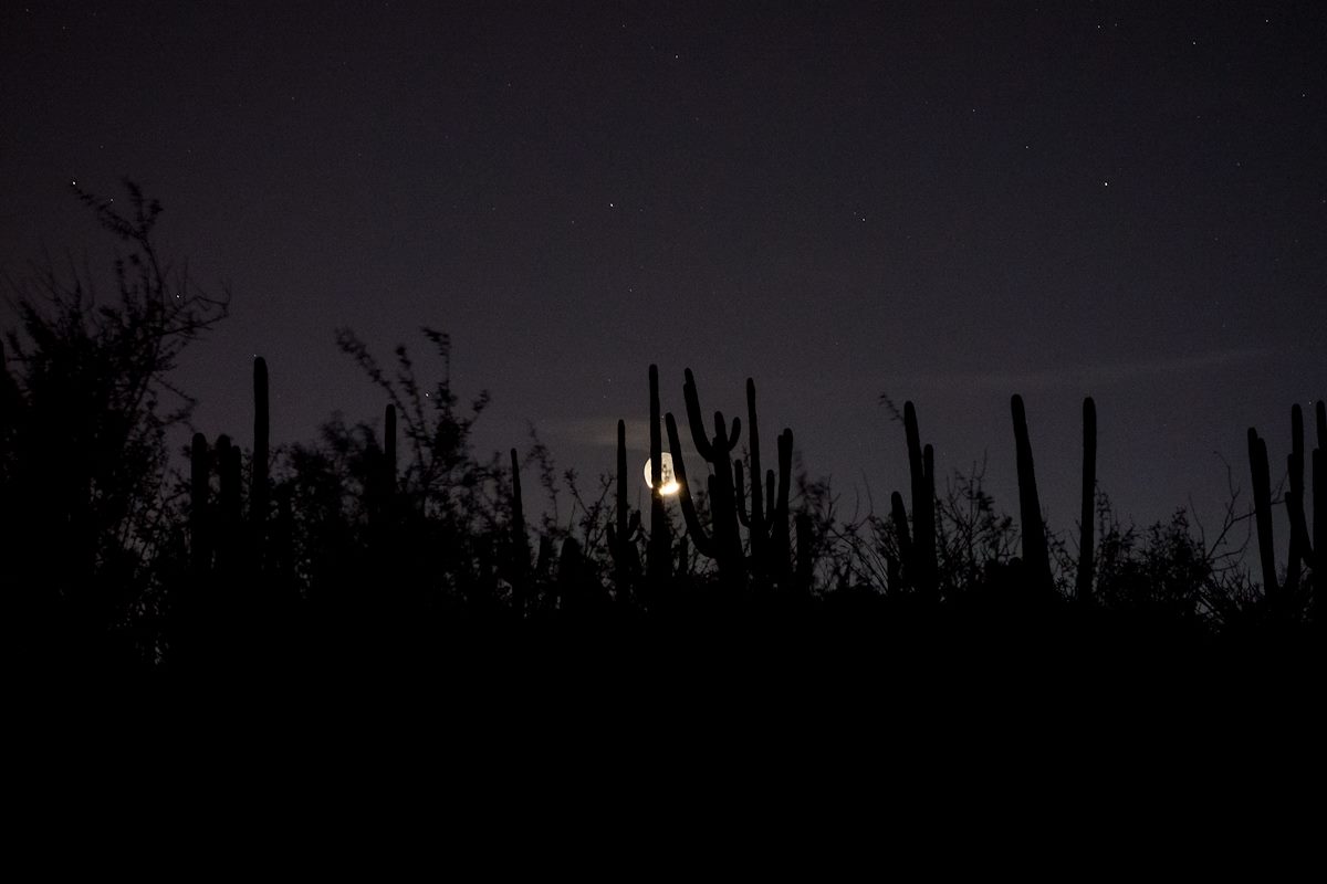 2015 March Moon in the Saguaro